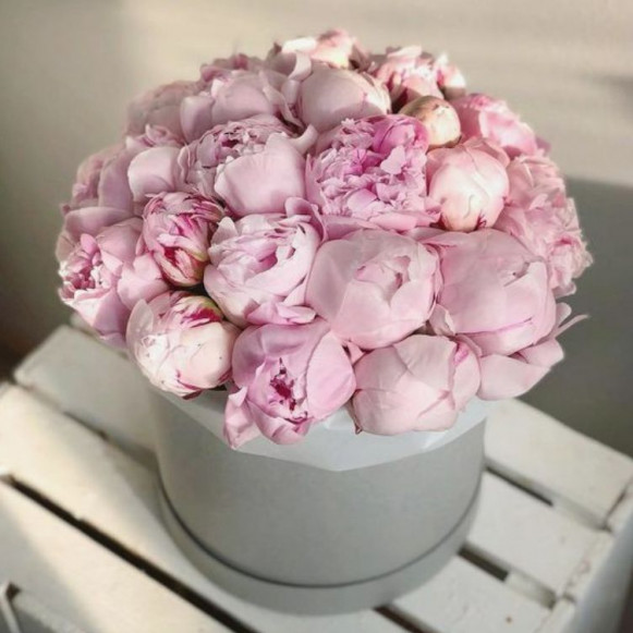 25 розовых пионов в коробке