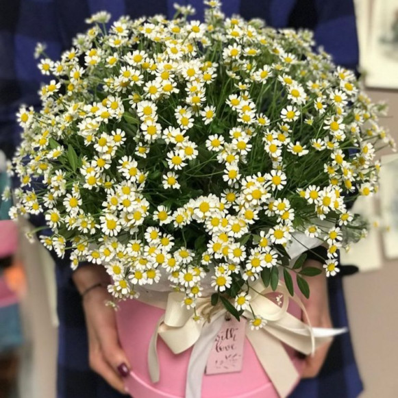 Коробка с полевыми ромашками и лентами